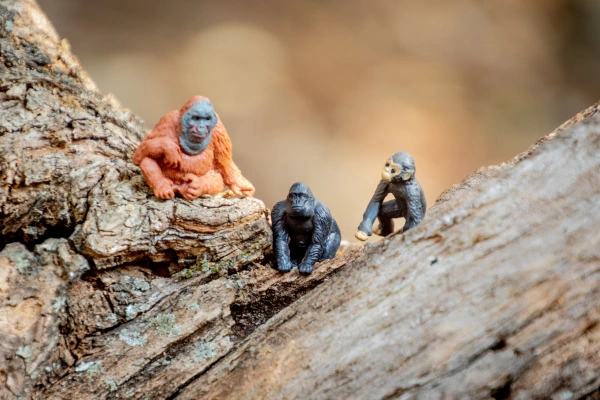6 Atividades Ecológicas Para Ensinar Crianças a Cuidar do Planeta