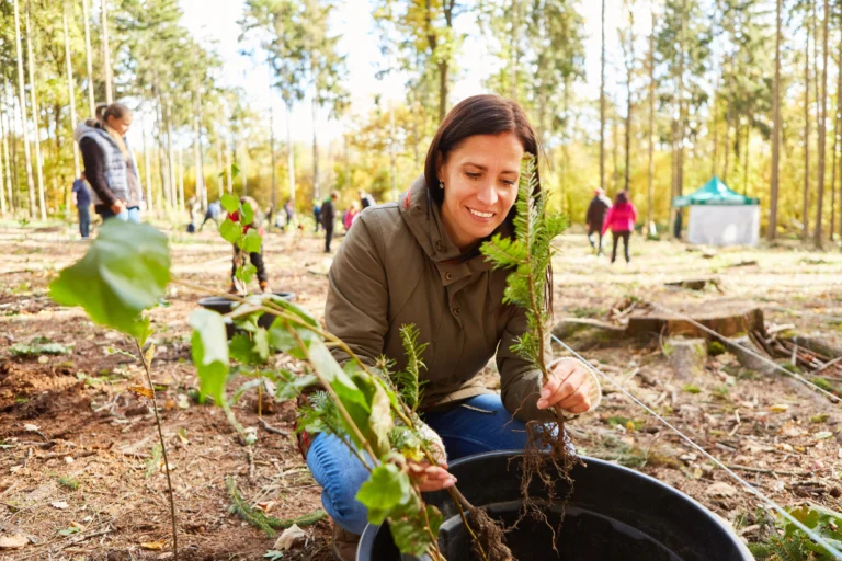 Mini Guardiões da Natureza: Projetos Ecológicos para Fazer em Casa