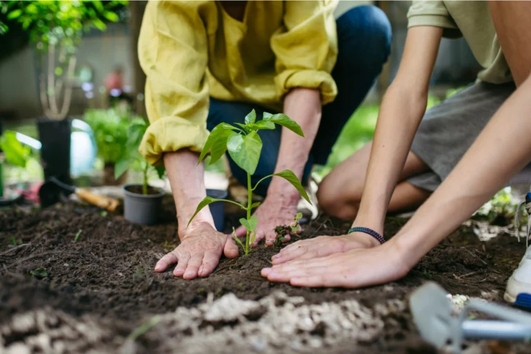 Horta Infantil: Como Ensinar Educação Ambiental Plantando com os Pequenos